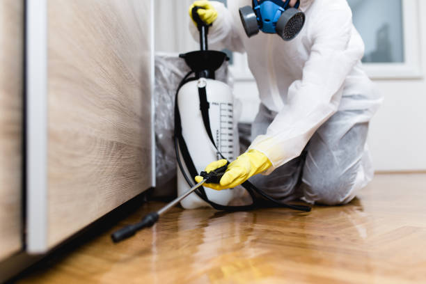 Best Affordable Pest Control Services  in Eureka, IL
