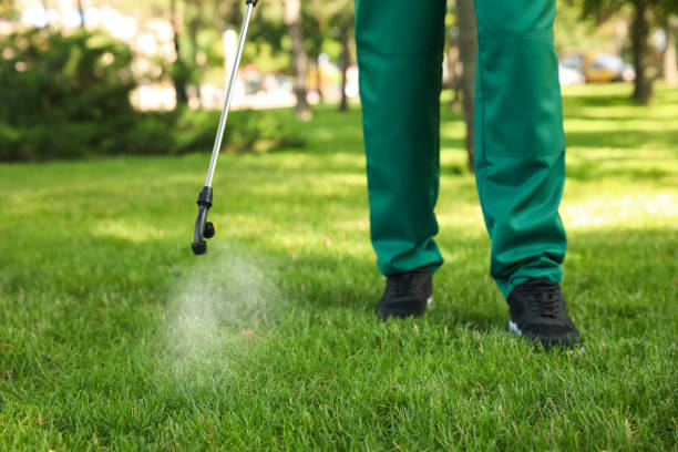 Best Flea Control Services  in Eureka, IL