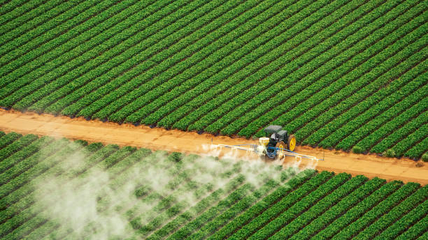 Best Pest Inspection Near Me  in Eureka, IL