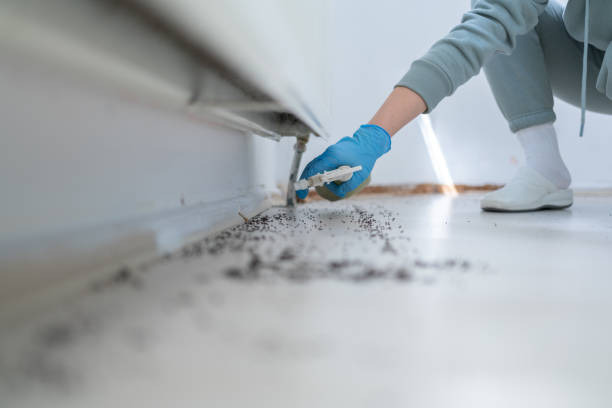 Reliable Eureka, IL Pest Control Solutions
